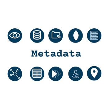 Metadata